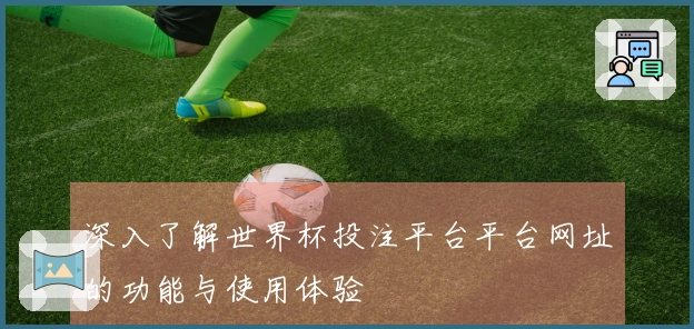 深入了解世界杯投注平台平台网址的功能与使用体验