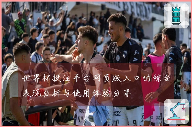 世界杯投注平台网页版入口的综合表现分析与使用体验分享