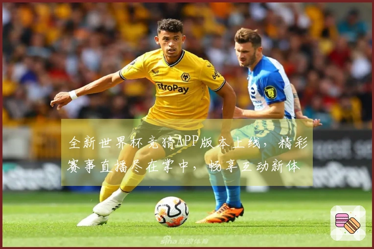 全新世界杯竞猜APP版本上线，精彩赛事直播尽在掌中，畅享互动新体验