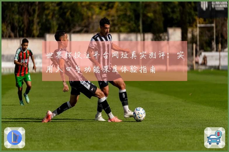 世界杯投注平台网址真实测评：实用入口与功能深度体验指南