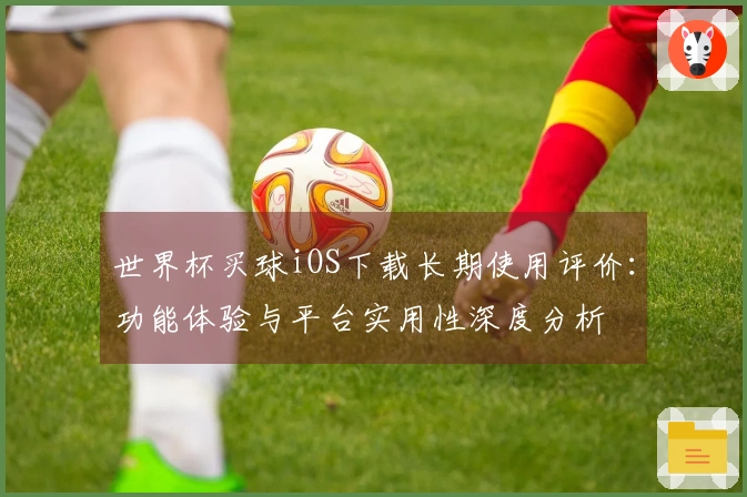 世界杯买球iOS下载长期使用评价：功能体验与平台实用性深度分析