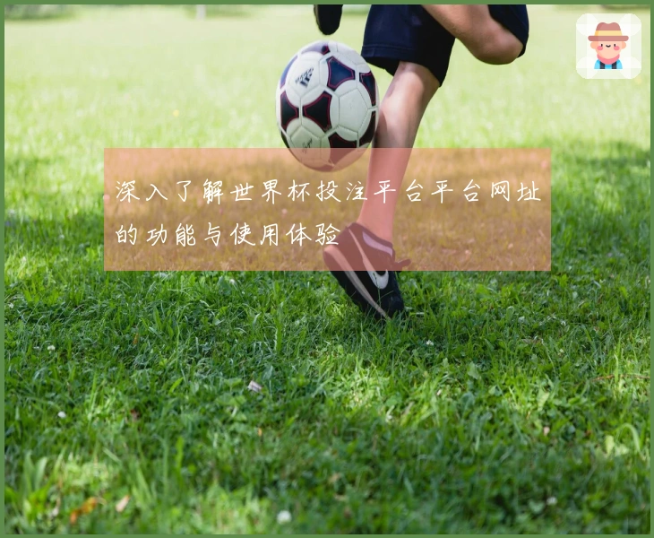 深入了解世界杯投注平台平台网址的功能与使用体验