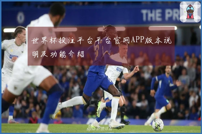 世界杯投注平台平台官网APP版本说明及功能介绍