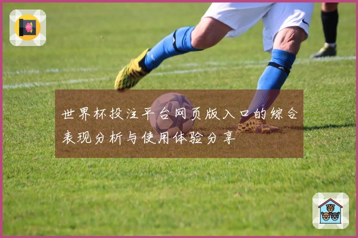 世界杯投注平台网页版入口的综合表现分析与使用体验分享
