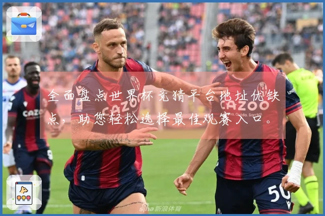 全面盘点世界杯竞猜平台地址优缺点，助您轻松选择最佳观赛入口。