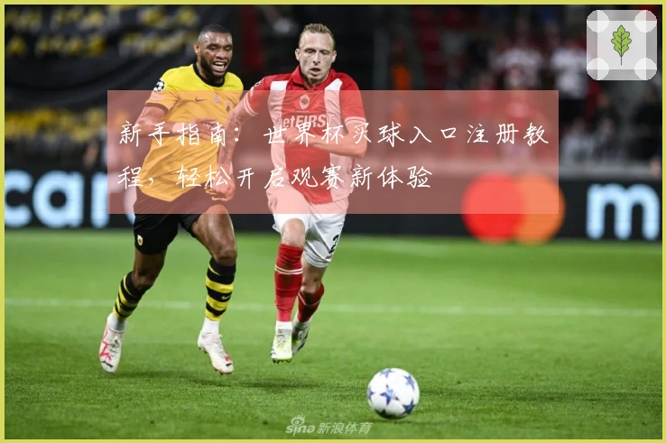 新手指南:世界杯买球入口注册教程,轻松开启观赛新体验