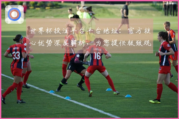 世界杯投注平台平台地址：官方核心优势深度解析，为您提供极致观赛体验