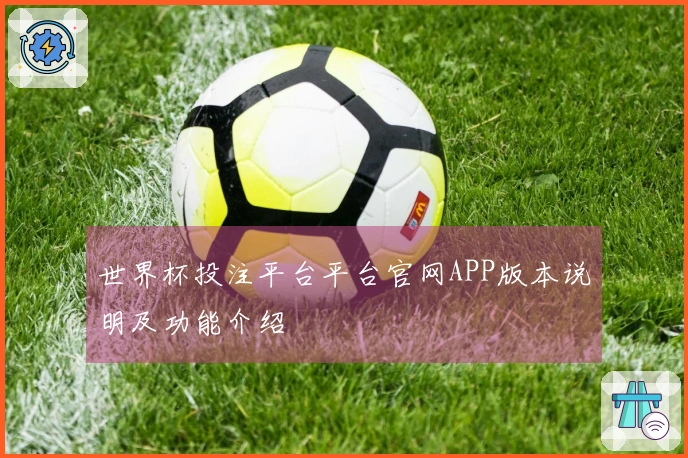 世界杯投注平台平台官网APP版本说明及功能介绍