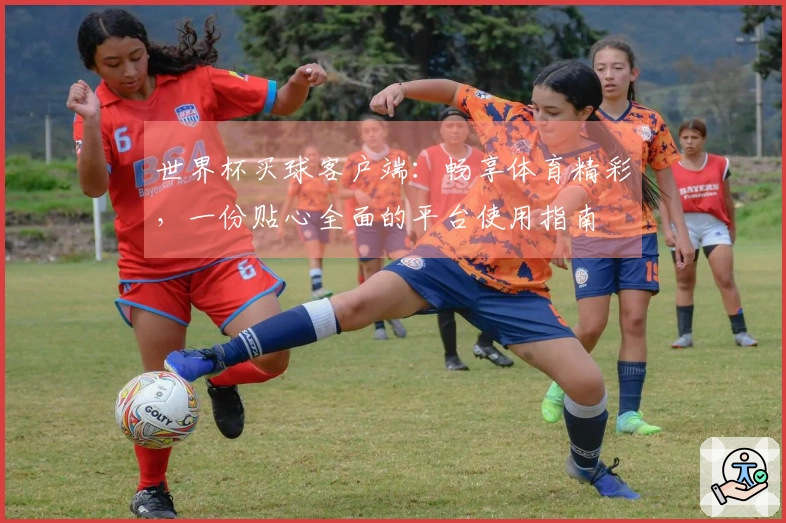 世界杯买球客户端：畅享体育精彩，一份贴心全面的平台使用指南