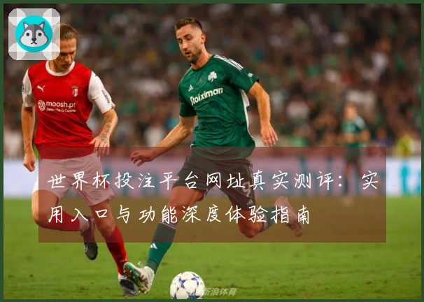 世界杯投注平台网址真实测评：实用入口与功能深度体验指南