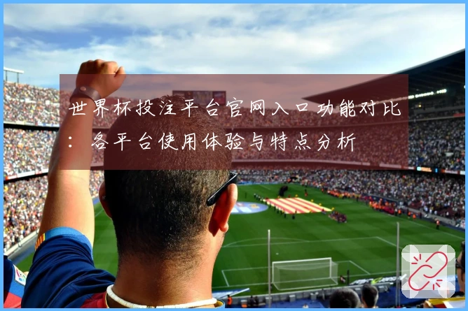 世界杯投注平台官网入口功能对比：各平台使用体验与特点分析