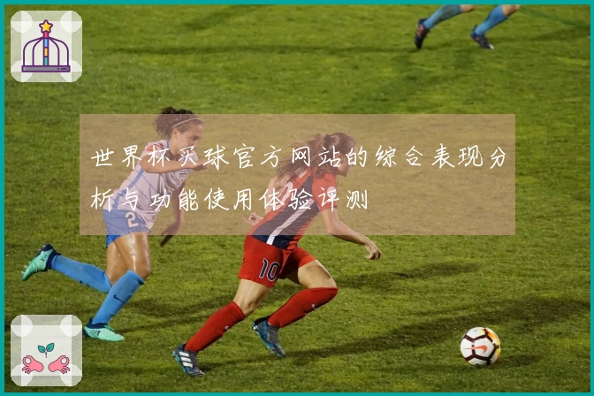 世界杯买球官方网站的综合表现分析与功能使用体验评测