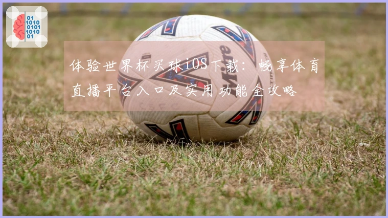 体验世界杯买球iOS下载：畅享体育直播平台入口及实用功能全攻略