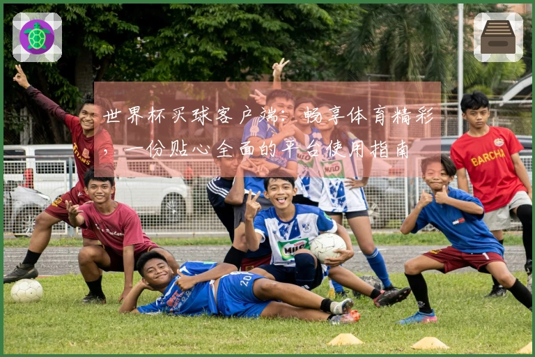 世界杯买球客户端：畅享体育精彩，一份贴心全面的平台使用指南