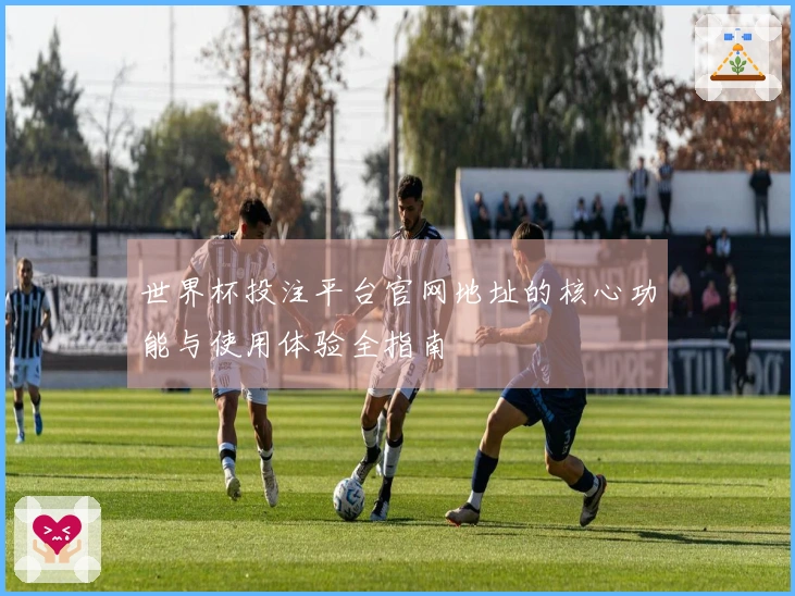 世界杯投注平台官网地址的核心功能与使用体验全指南