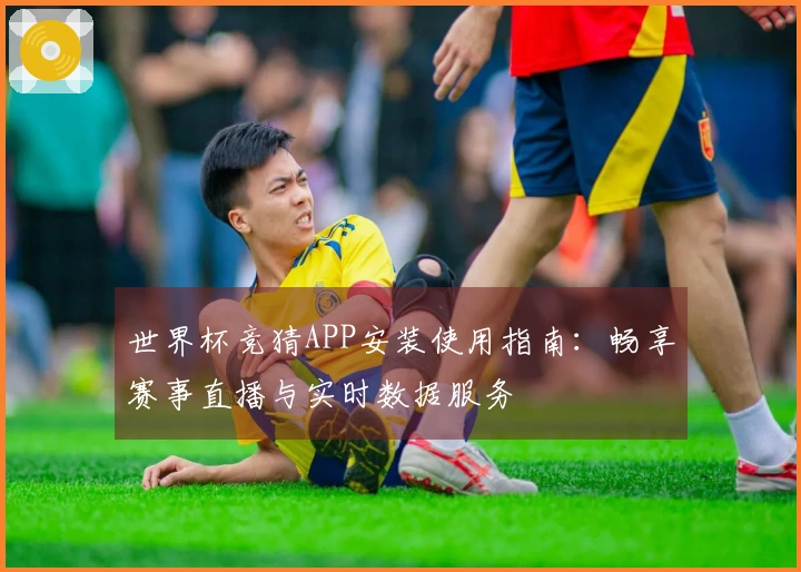 世界杯竞猜APP安装使用指南：畅享赛事直播与实时数据服务